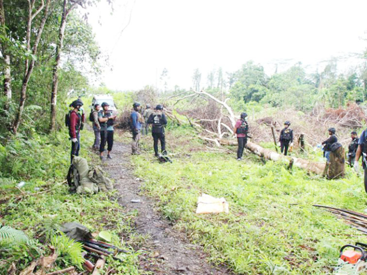 mimika, papua