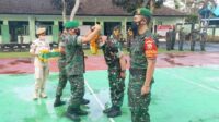 papua 11111