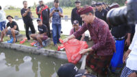 mancing 22222