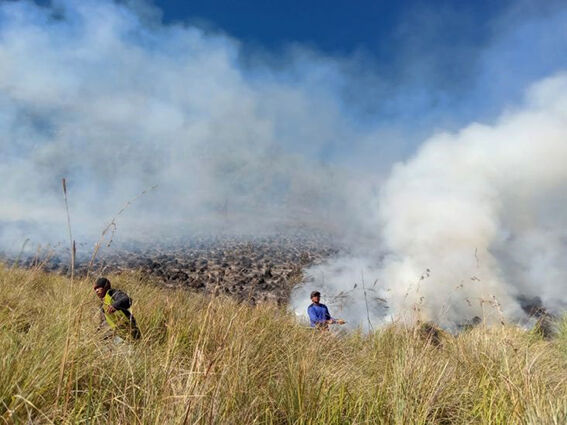 bromo 1111111ccc