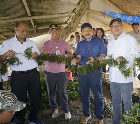 kunker dirjen perikanan dan budidaya ke desa lembongan