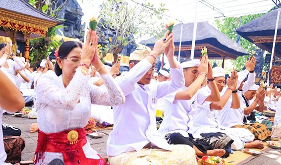 bupati 11aaaaaaaaaa