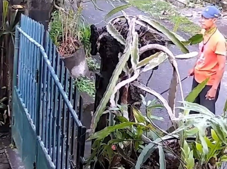kasus pengancaman1