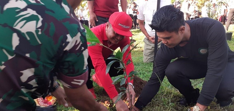 tanam pohon