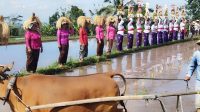 festival jatiluwih1