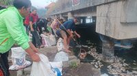 ikan mati4