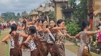 vilage festival