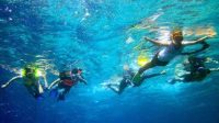 snorkeling1
