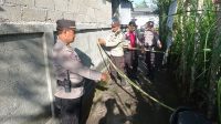 tkp curanmor1
