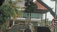 bale kambang1