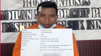 pencuri ayam1