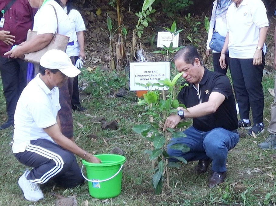 tanam pohon1