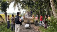 beras petani1