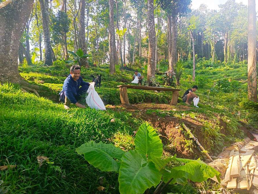 hutan desa1