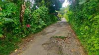 jalan rusak1