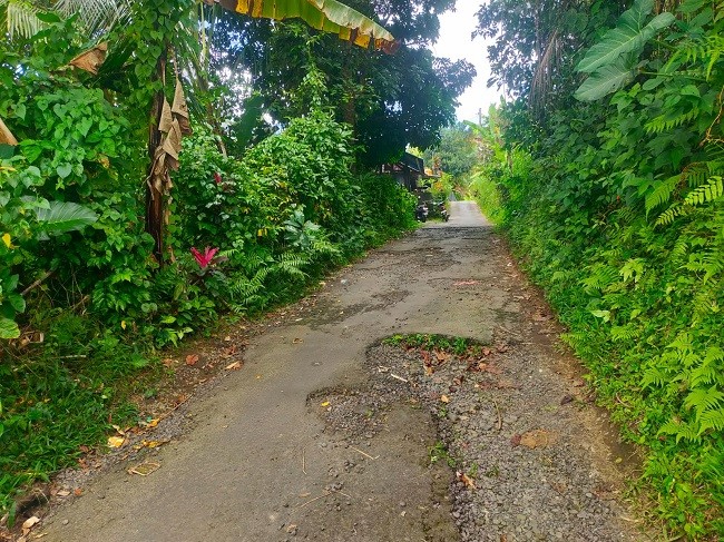 jalan rusak1