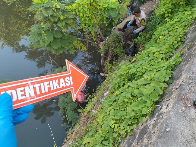 bayi mengembang1