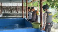tukik hilang