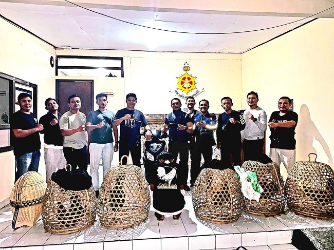 anak babi1
