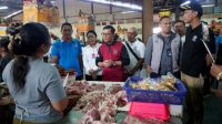 tinjau pasar