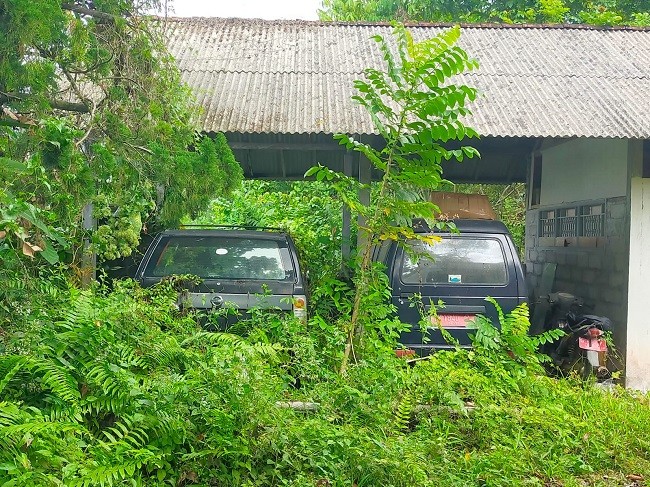 mobil dinas1 mobil dinas1