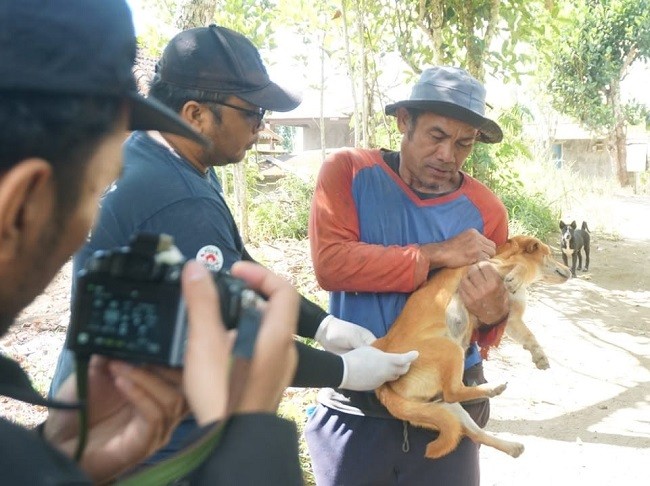 vaksinasi rabies1 vaksinasi rabies1