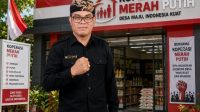 ketut mandia