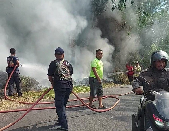 bakar daun1