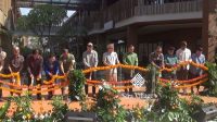 soft opening1