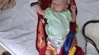 bayi1 bayi1