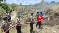 kebakaran lahan1